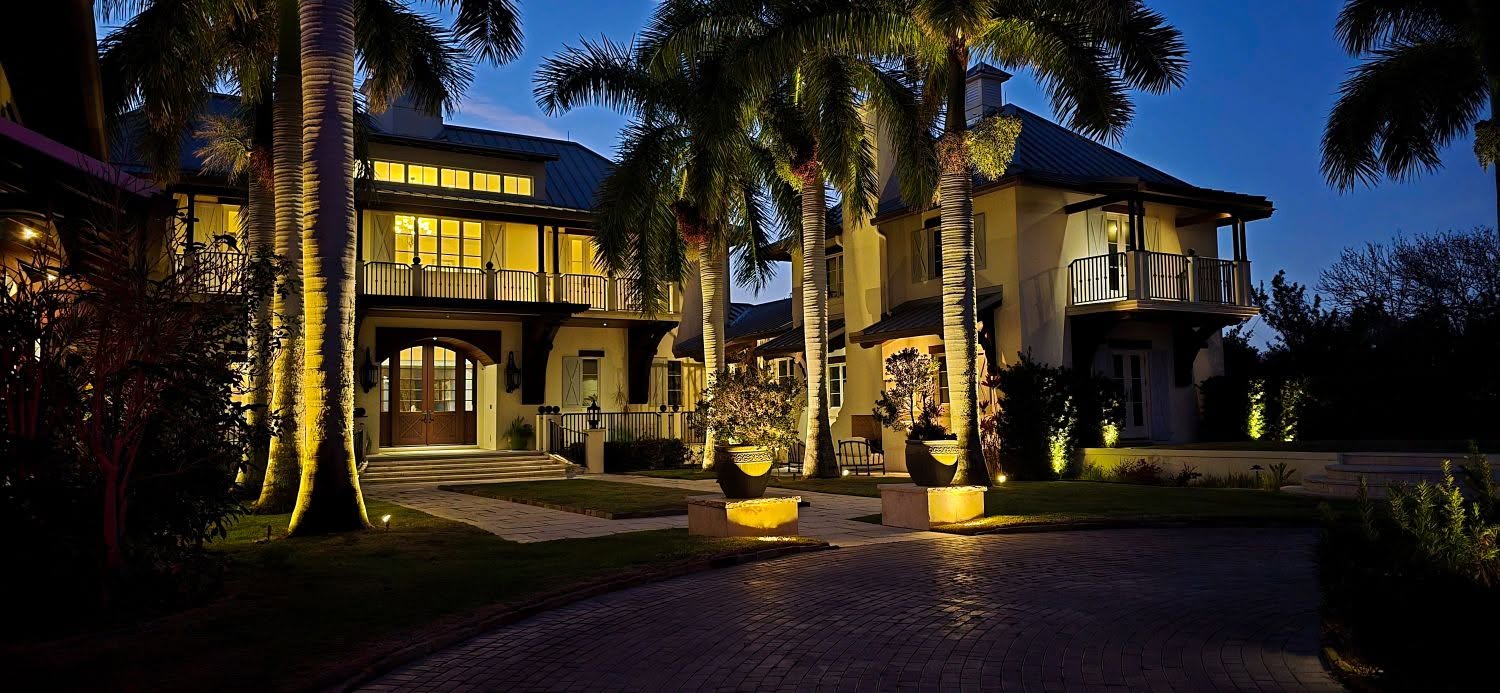Warm uplighting on a palm and front elevation after dark