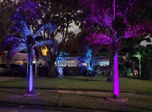 Garden bed lighting with layered light and shadow